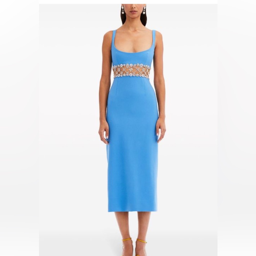 ISO Oscar de la Renta Spring 2024 Blue Embellished Dress